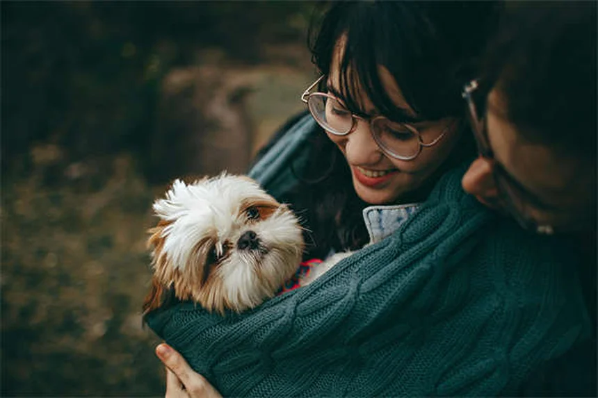 Why Do Chinchillas and Guinea Pigs Popcorn? The Adorable Truth